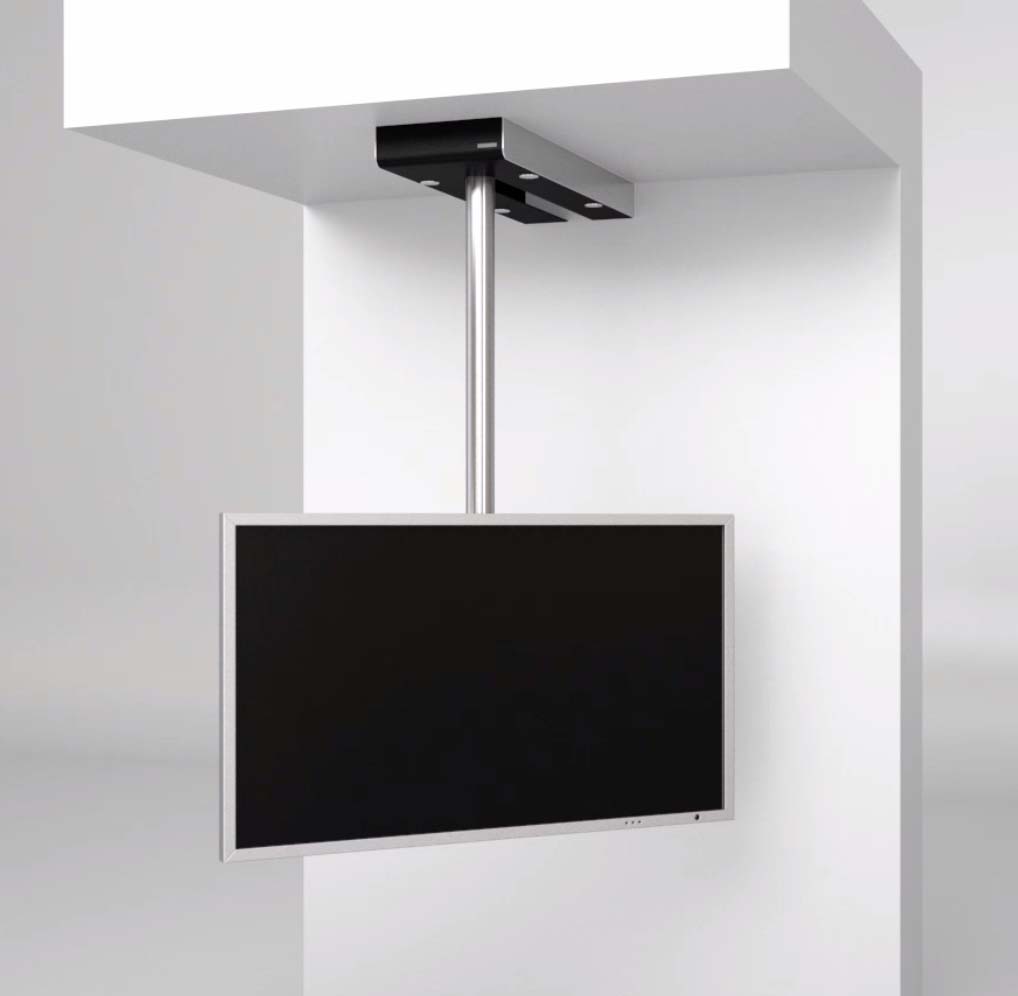 Wissmann art 116 ceiling