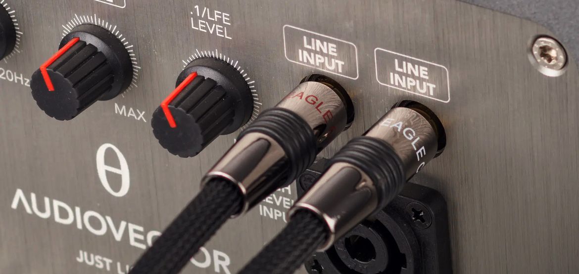 Beispiel eines Cinch-Eingangs an einem Subwoofer
