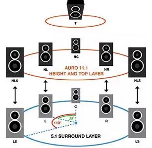 auro11-1