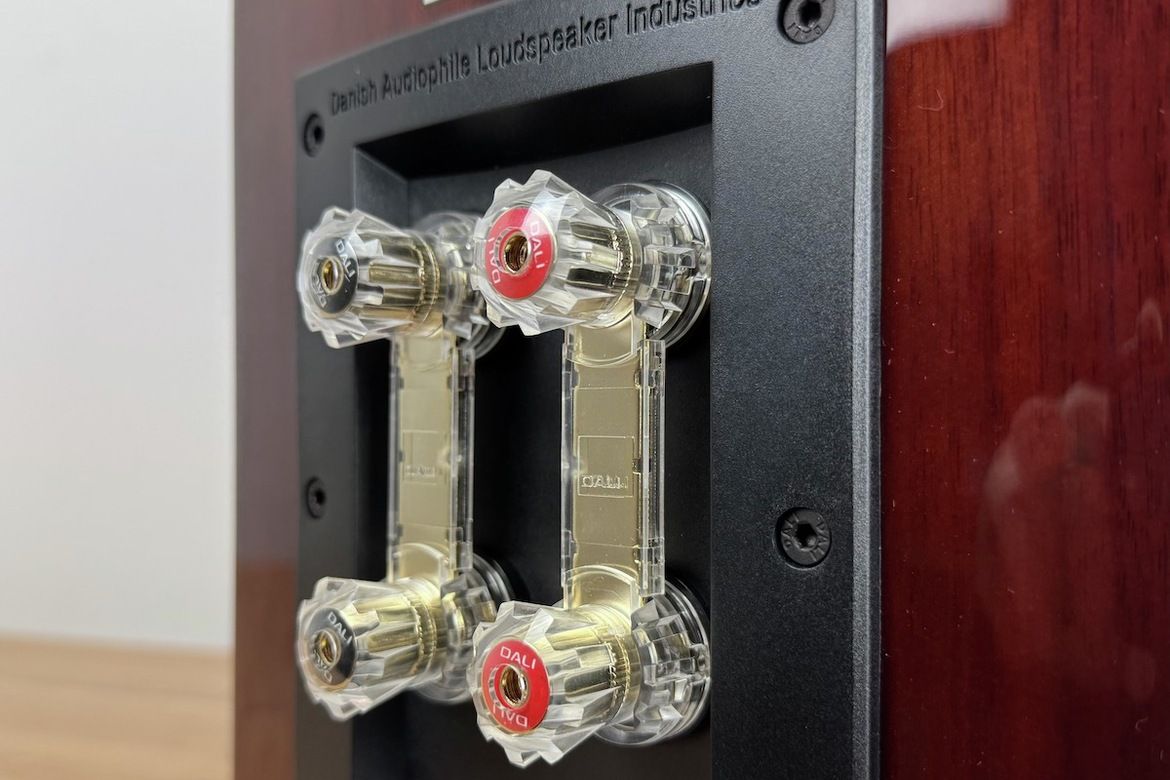 Anschlüsse und Brücken des DALI RUBIKORE 2 im Detail