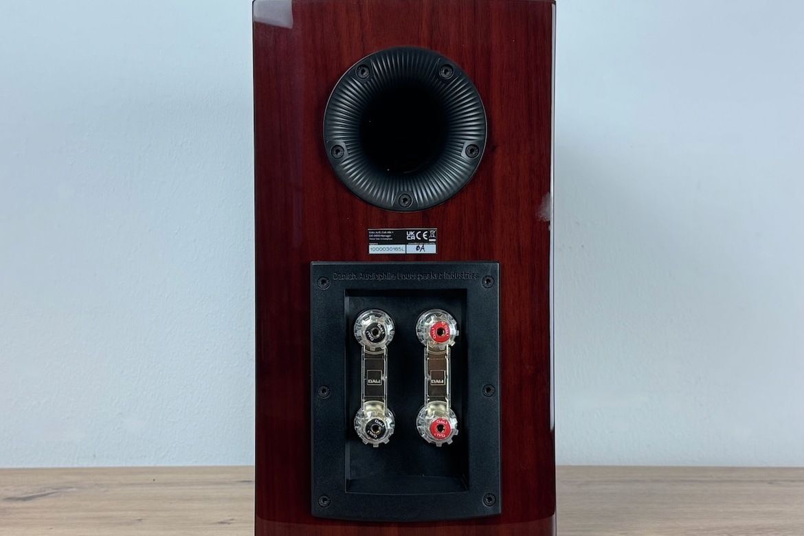 Rückseite des DALI RUBIKORE 2