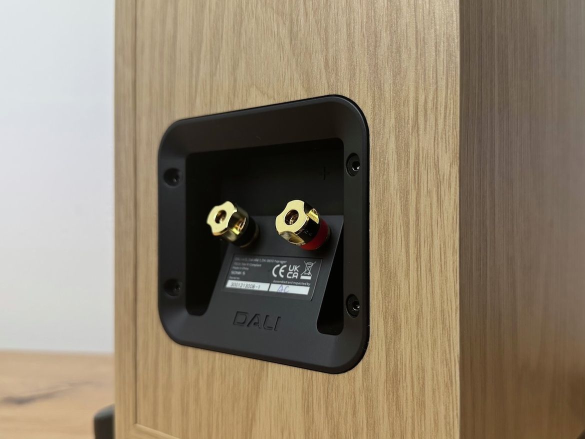 Dali SONIK 5 Standlautsprecher