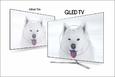 QLED-Technologie von Samsung
