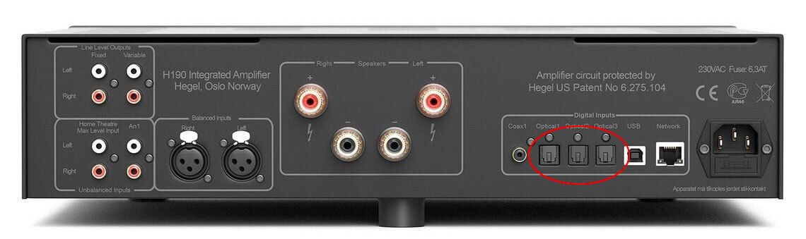 Rückseite des HEGEL H120 Stereo-Vollverstärkers