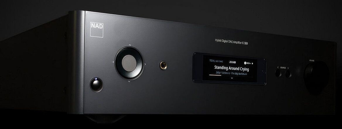 NAD C 399