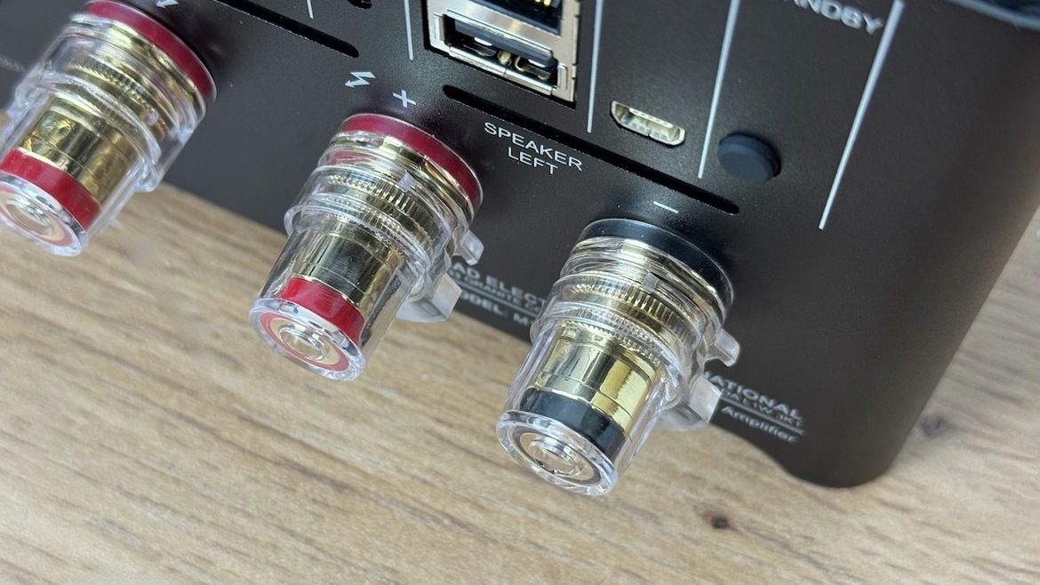 Hochwertige Lautsprecher-Schraubterminals