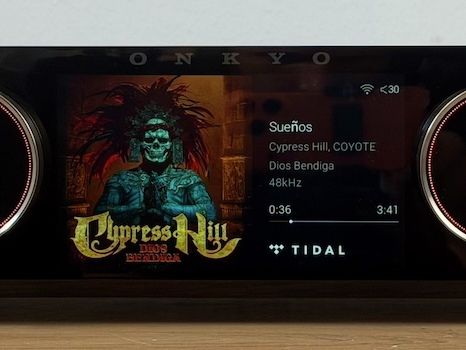 Onkyo MUSE Y-50G