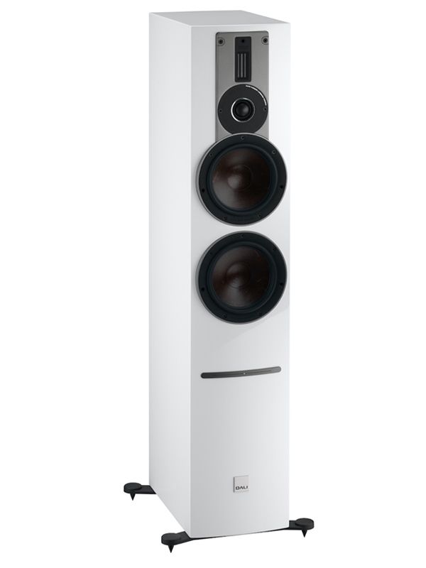 Rubicon 6 C  - Aktiver Regallaustrpecher