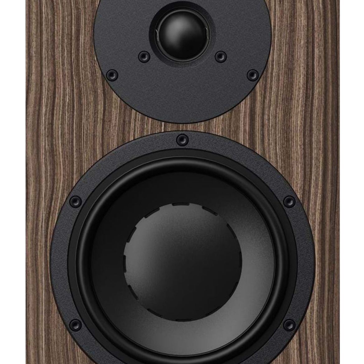 Dynaudio Special Forty - Frontansicht