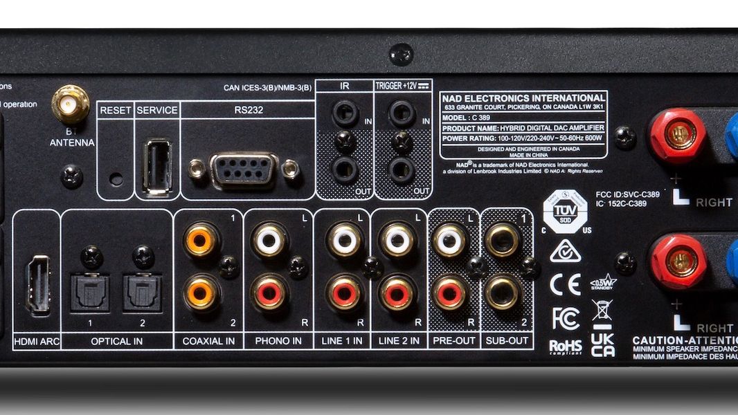 NAD C389 - Anschlüsse im Detail