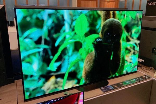 Sony AG9 in 77 Zoll