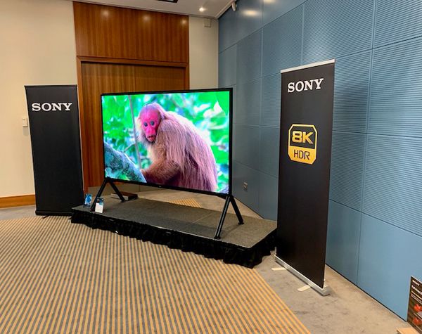 Sony ZG9