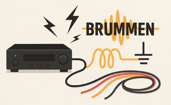 Teaserbild zum Ratgeber: Was tun bei Brummen? Eine Schritt-für-Schritt-Anleitung