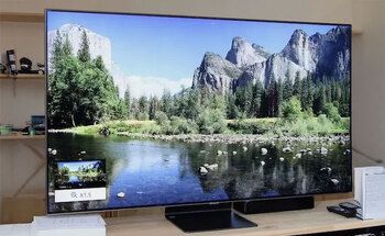 Teaserbild Schnell-Check - OLED oder LCD-TV