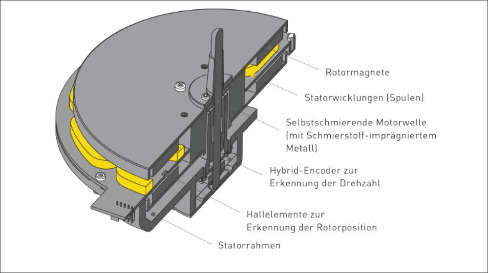 Aufbau des kernlosen Direktantriebsmotors