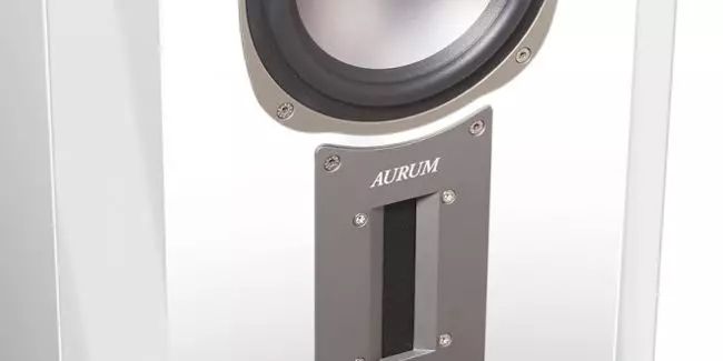 Detailansicht der Quadral Aurum Titan 9