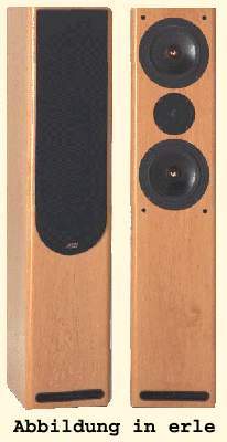 ASW Cantius V (eiche schwarz)