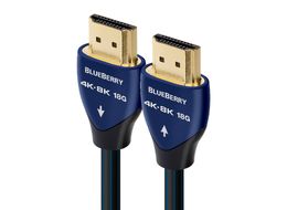 audioquest_blueberry