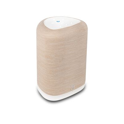 bluesound-pulse-flex-3