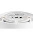 bowers_wilkins_formation_edge_white_anschluss