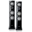 canton-townus-90-sw-hg-paar