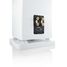 canton_townus-90_ws_rear