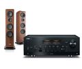 yamaha2000canton