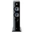 focal_chora_816_2