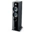 focal_chora_816_3