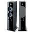 focal_chora_816_5