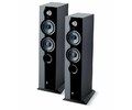 focal_chora_816_sw