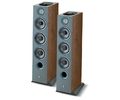 focal_chora_826_d_dw