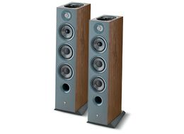 focal_chora_826_d_dw