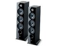 focal_chora_826_d_sw
