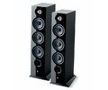 focal_chora_826_sw