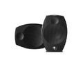 focal_sib_evo_1