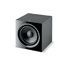 focal_sub_600p_1