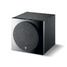 focal_sub-1000f_2