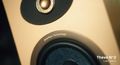focal_theva_video