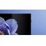 we._see_lcd_dc_highlight_image_picture_quality
