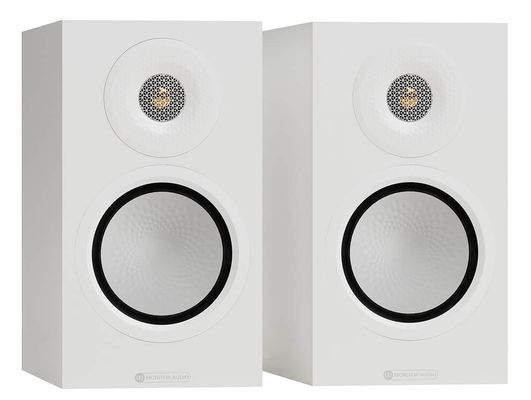 monitor-silver-50-8g-1