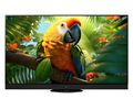 tv-65z95aeg_hifi-regler