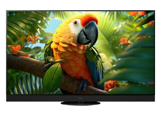 tv-65z95aeg_hifi-regler