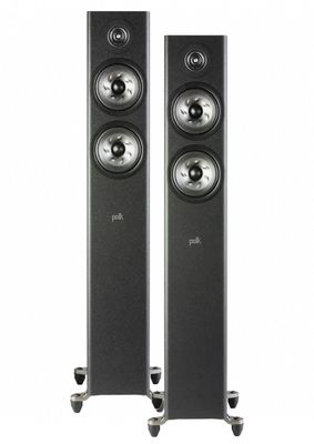 polk_reserve_r500_1