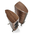Sonus faber Olympica Nova III in Walnuss Draufsichtenge Rückseite