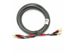 straightwire-chorus-2