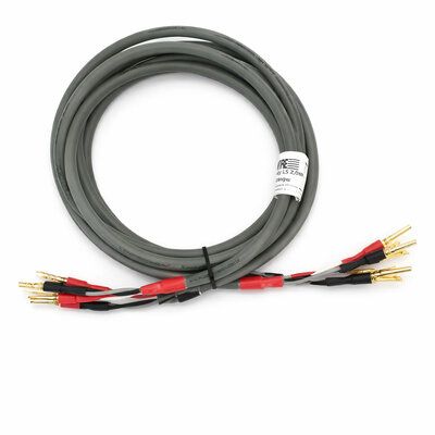 straightwire-chorus-2