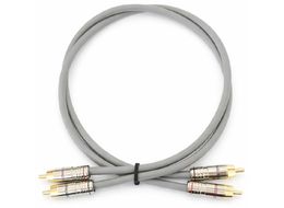 straightwire-chorus-8