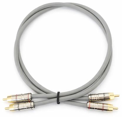 straightwire-chorus-8