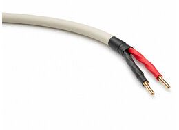 straighwire-oktave-4